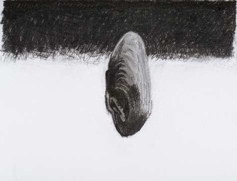 Marjatta Hanhijoki Jokihelmisimpukka 2006, kuva: Johnny Korkman