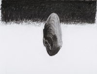 M.Hanhijoki Jokihelmisimpukka hiilipirros