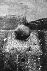 Marjatta.Hanhijoki Kivi polymeerigravyyri 1996